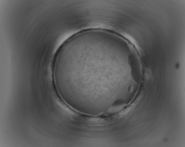 X0000094801120200711241418