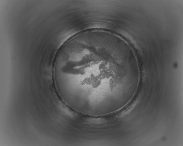 X0000094801121200711241418