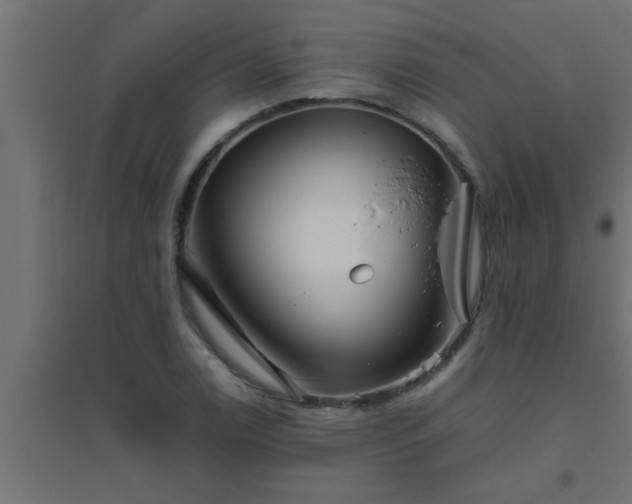 X0000094801122200711241418