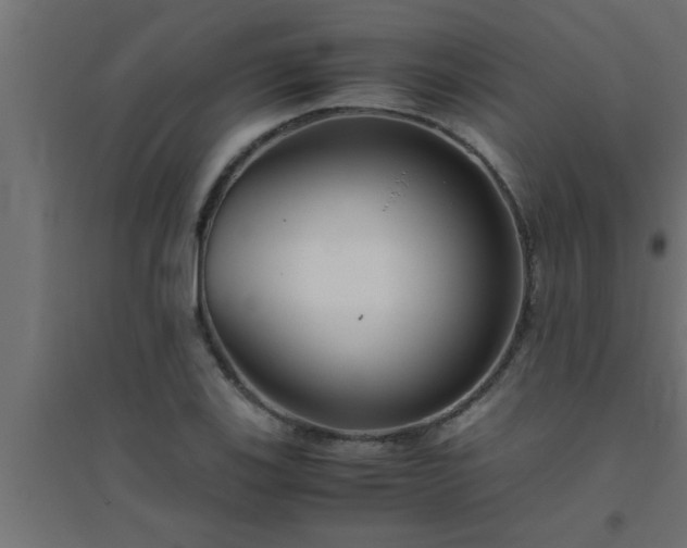 X0000094801123200711241418