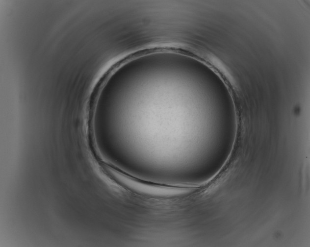 X0000094801124200711241418
