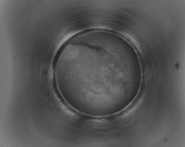 X0000094801125200711241418