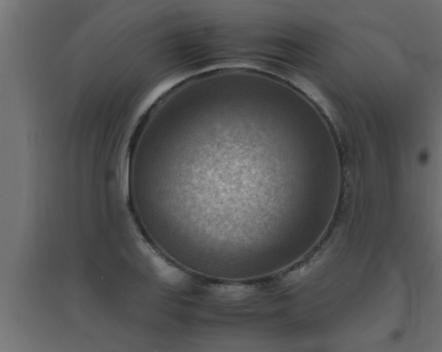 X0000094801127200711241418