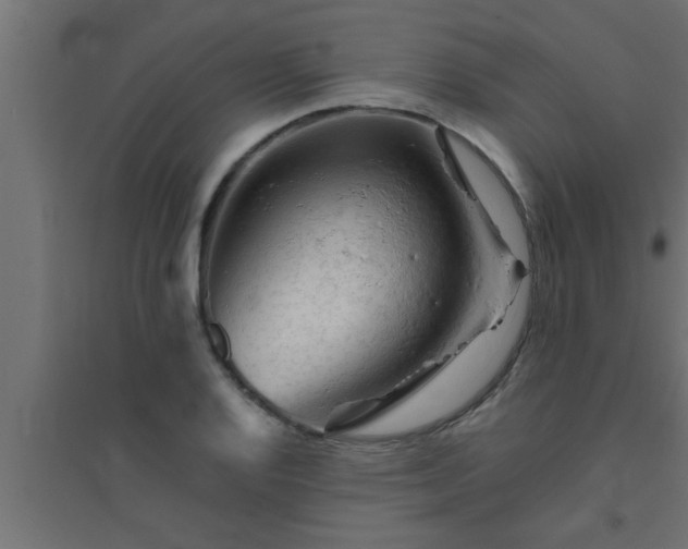 X0000094801128200711241418