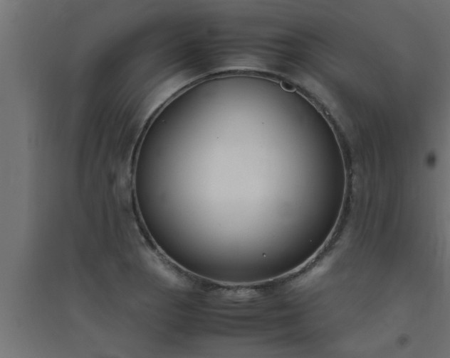 X0000094801129200711241418