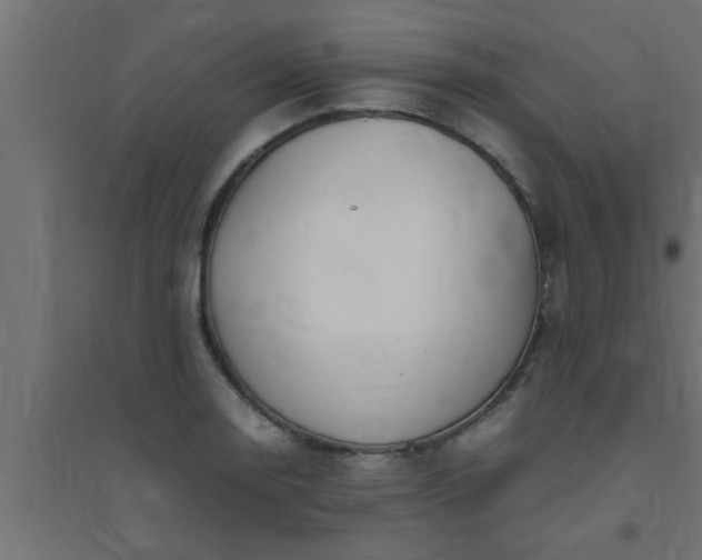 X0000094801130200711241418