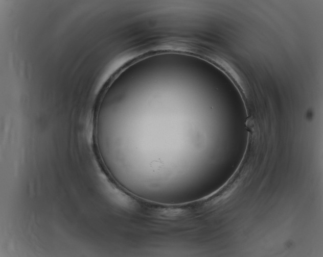 X0000094801131200711241418