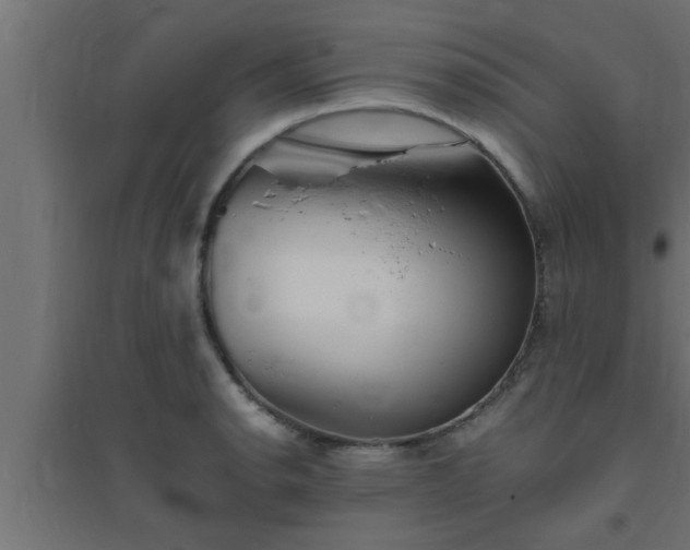 X0000094801134200711241418