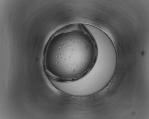 X0000094801136200711241418