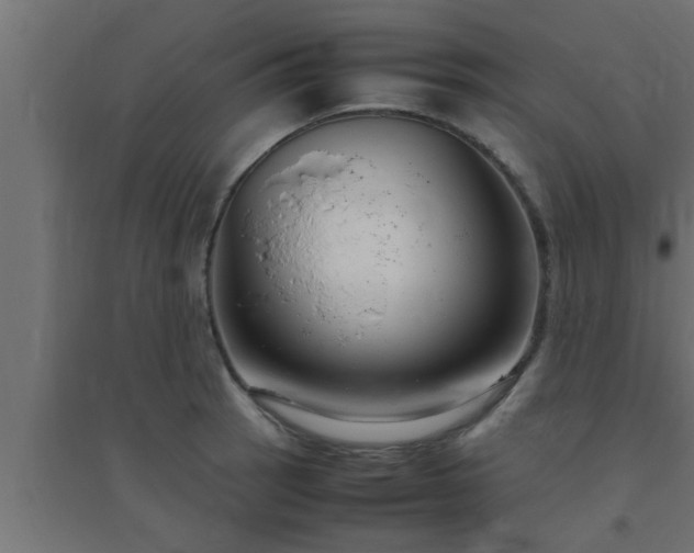 X0000094801137200711241418