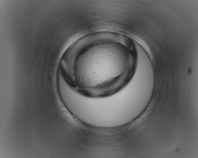 X0000094801138200711241418