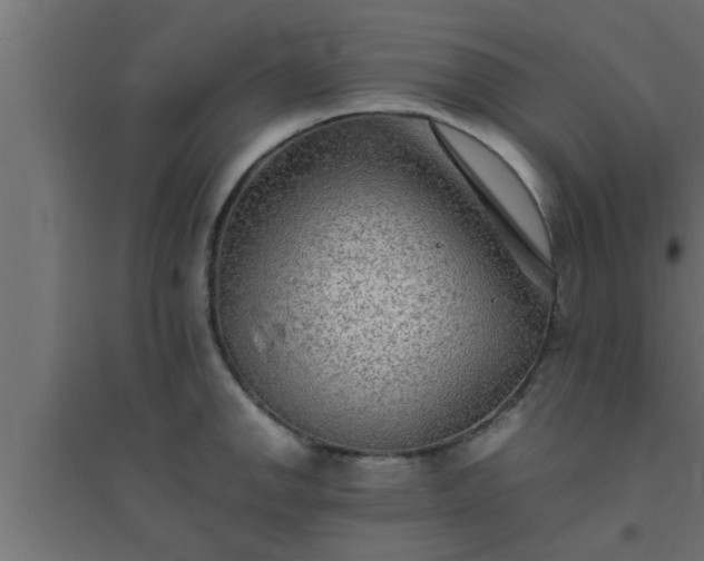 X0000094801142200711241418