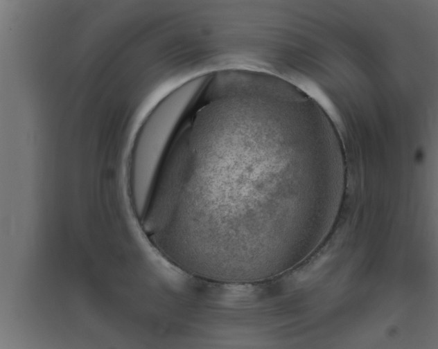 X0000094801144200711241418
