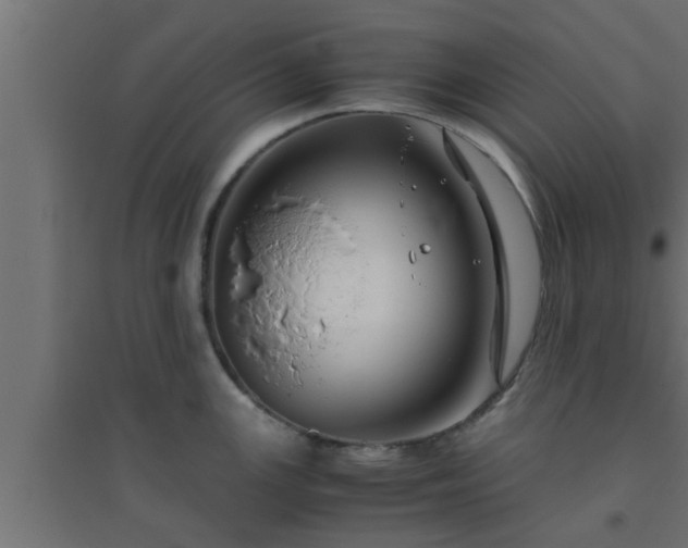 X0000094801147200711241418