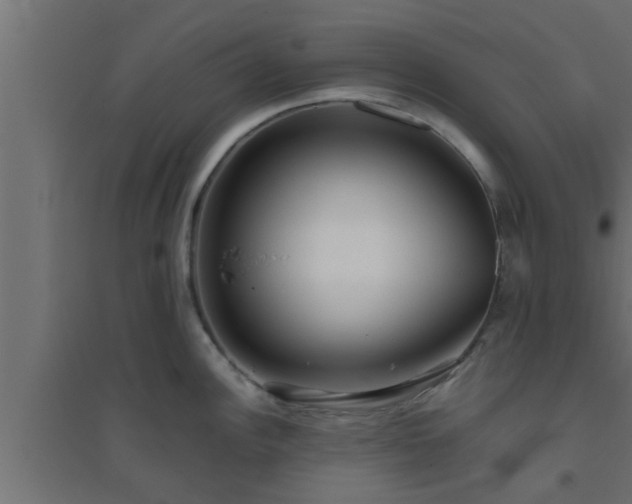 X0000094801148200711241418
