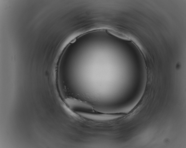 X0000094801151200711241418