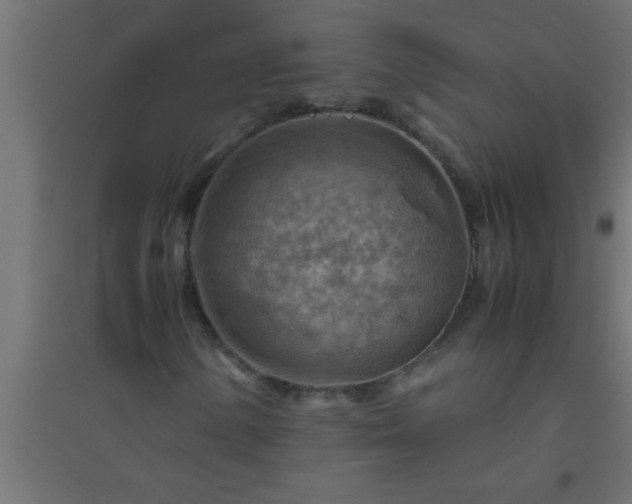 X0000094801154200711241418