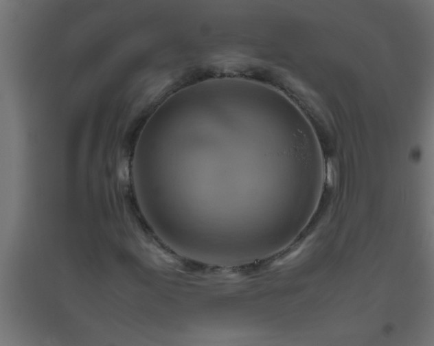 X0000094801155200711241418