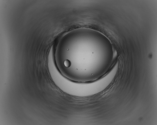 X0000094801156200711241418