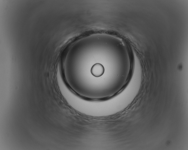 X0000094801157200711241418
