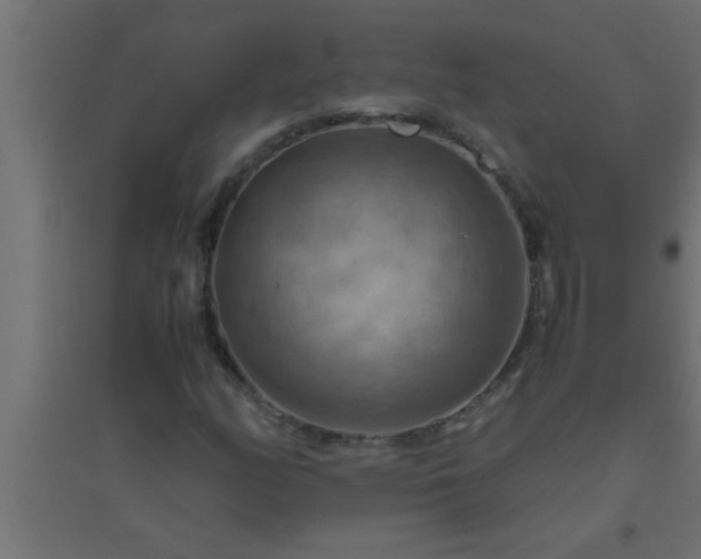X0000094801158200711241418