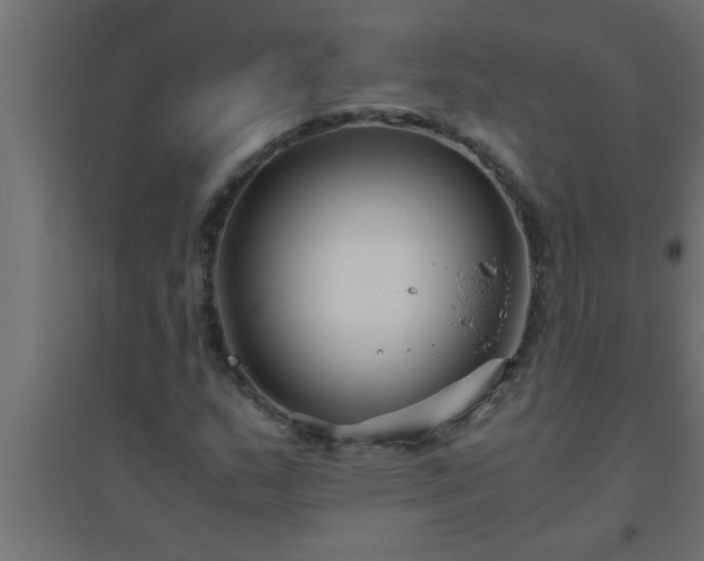 X0000094801159200711241418