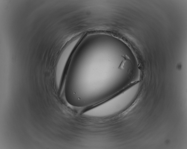 X0000094801161200711241417