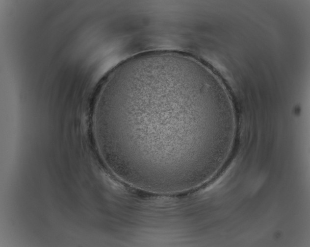 X0000094801163200711241417