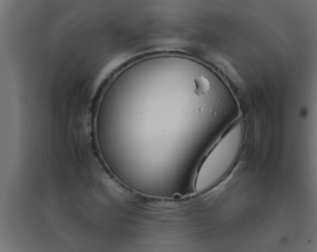 X0000094801164200711241417