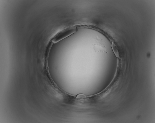 X0000094801165200711241417