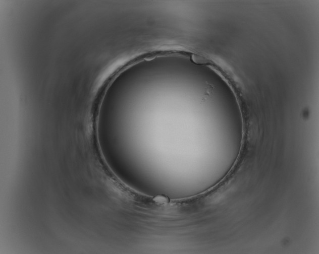 X0000094801167200711241417