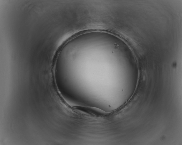 X0000094801168200711241417
