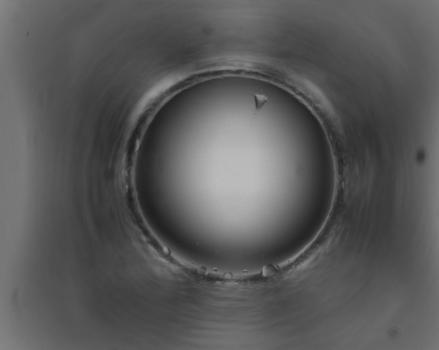 X0000094801172200711241417