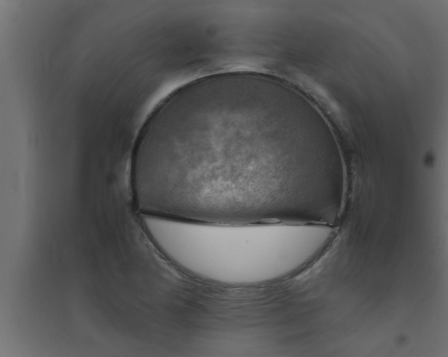 X0000094801174200711241417