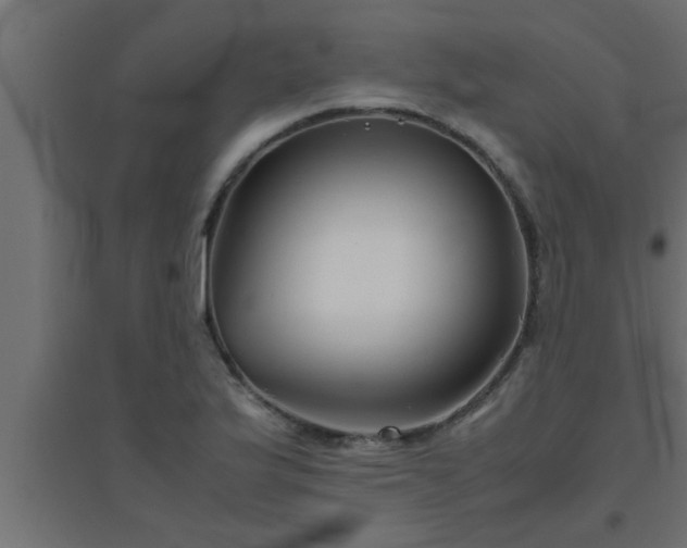 X0000094801175200711241417