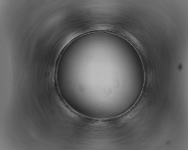 X0000094801178200711241417