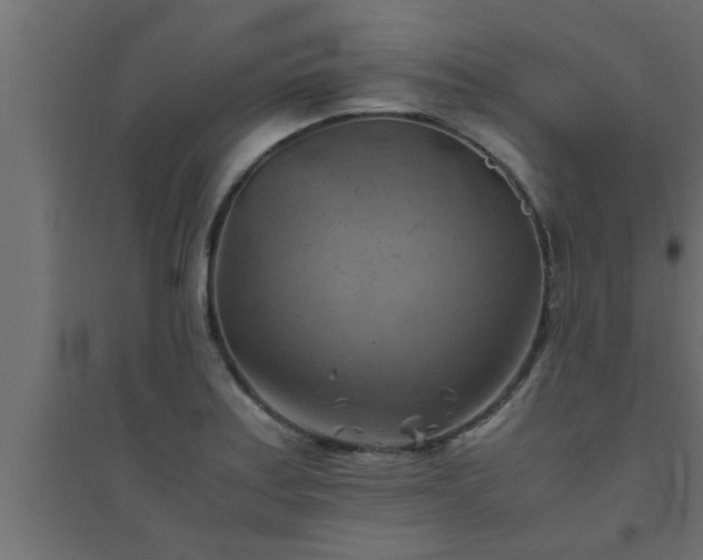 X0000094801179200711241417