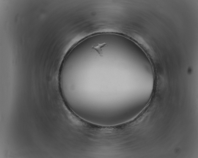 X0000094801181200711241417