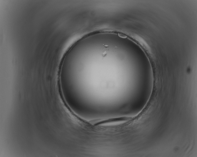 X0000094801183200711241417