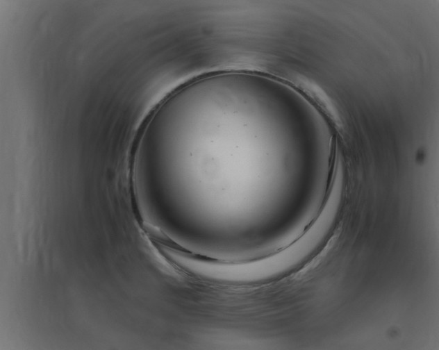 X0000094801184200711241417