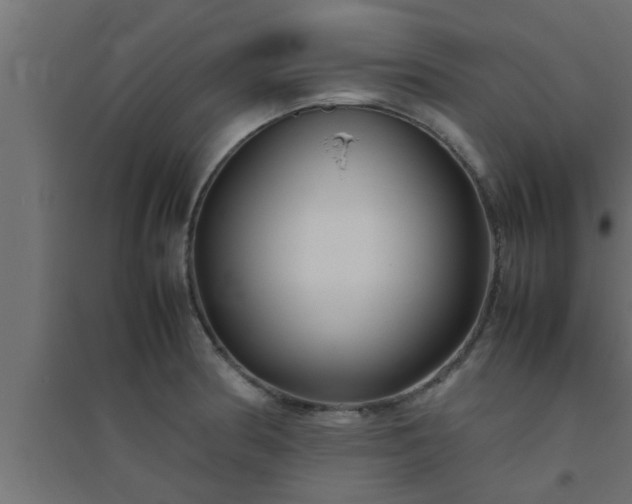 X0000094801186200711241417