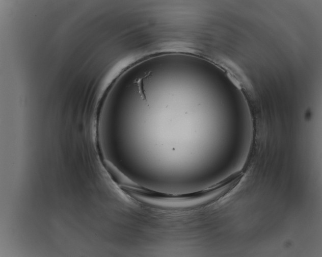X0000094801188200711241417
