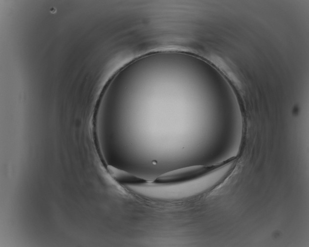 X0000094801189200711241417