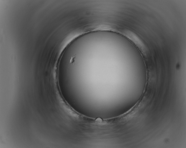 X0000094801190200711241417
