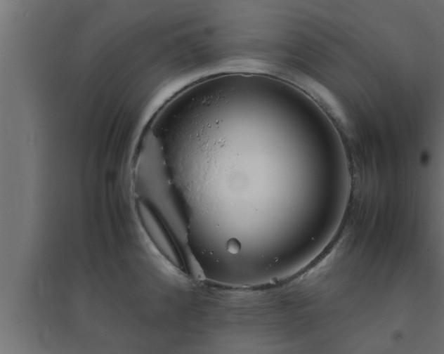X0000094801192200711241417