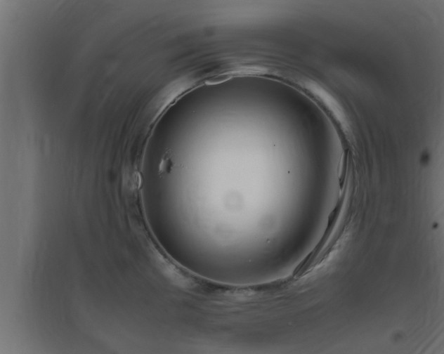 X0000094801193200711241417