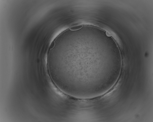 X0000094801198200711241417