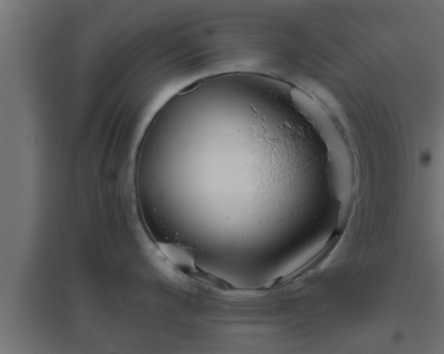 X0000094801200200711241417