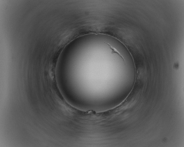 X0000094801202200711241416