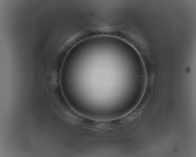 X0000094801205200711241416